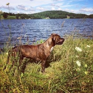 Meet your Posher, John